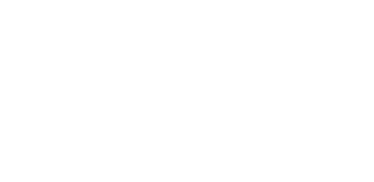 logo dalprise branca